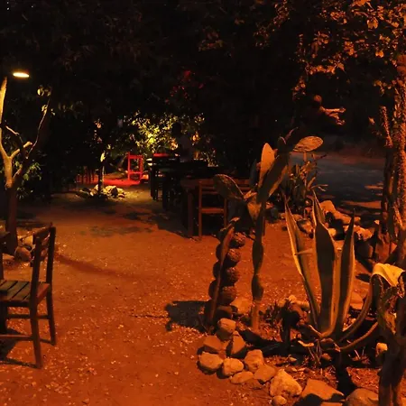 Lüks kamp alanı Cafe Cactus Camping *