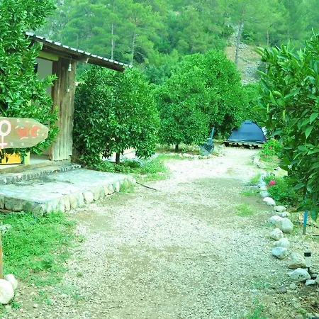 Cafe Cactus Camping * Antalya